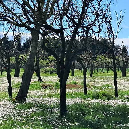 Al Cavallino-Treporti